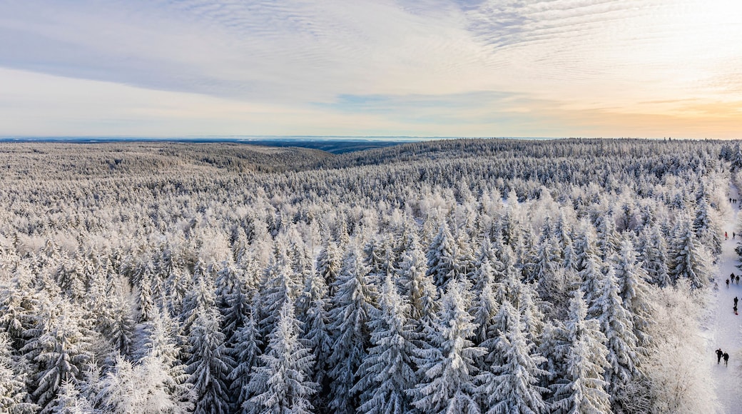 Aerial view of a snowy winter forest in Kaltenbronn, Black Forest, Germany with a hiking trail.