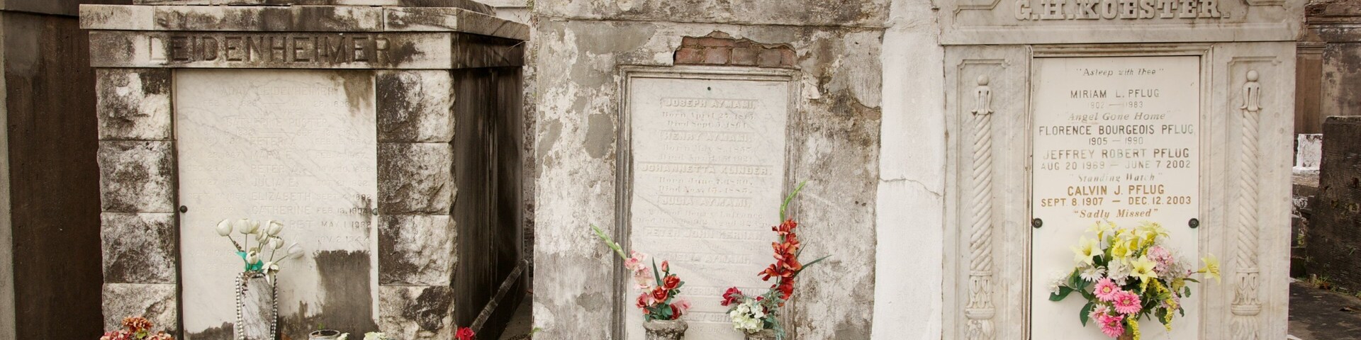 Cementerio de Lafayette que incluye un cementerio
