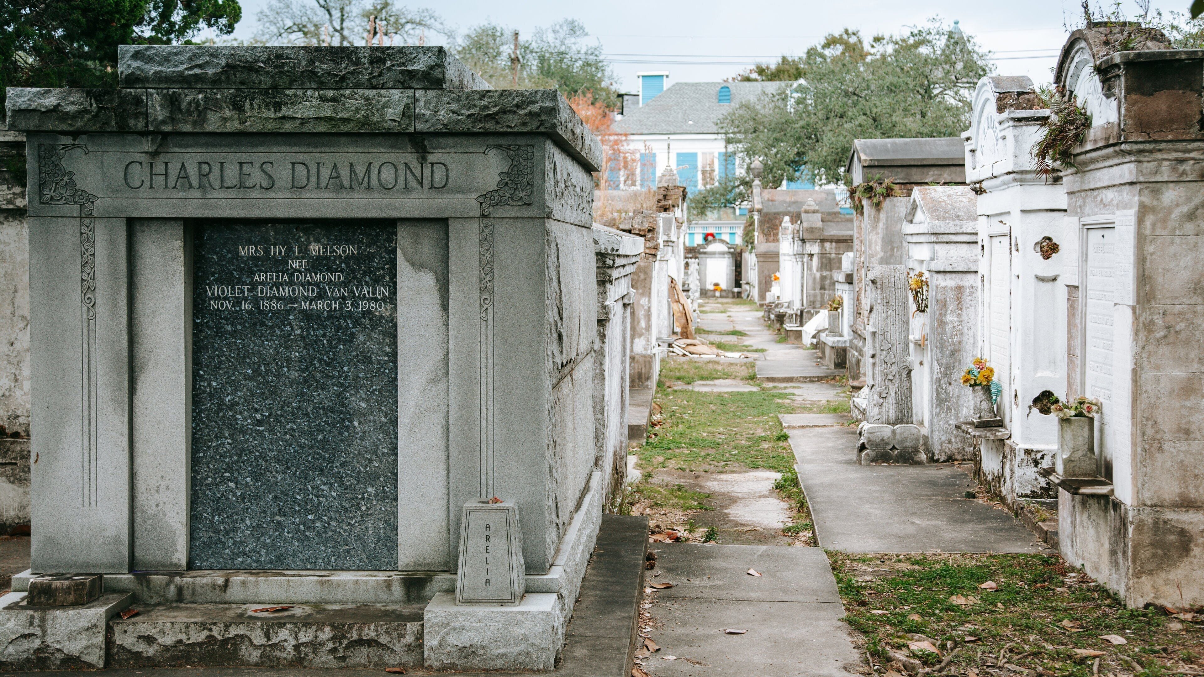 Lafayette Cemetery showing a cemetery