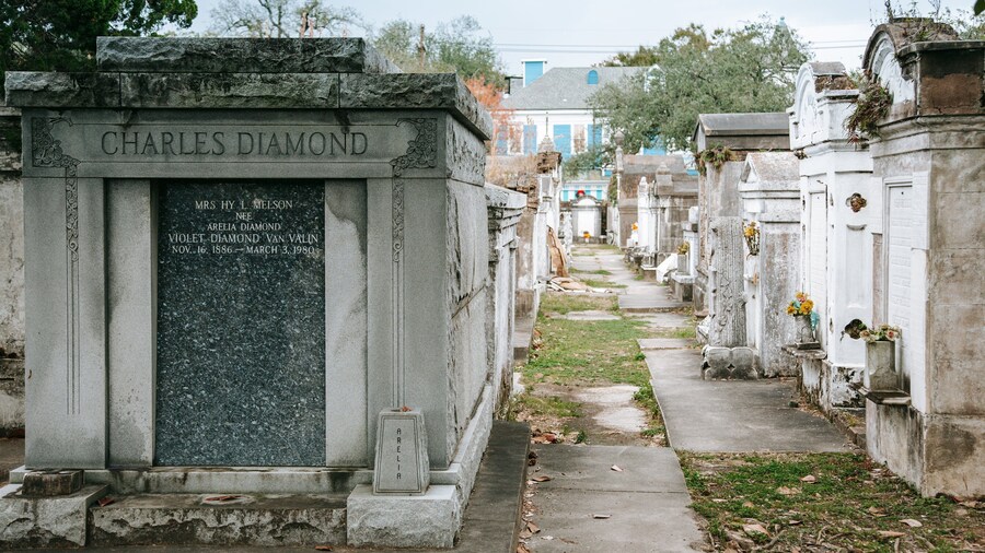 Lafayette Cemetery showing a cemetery
