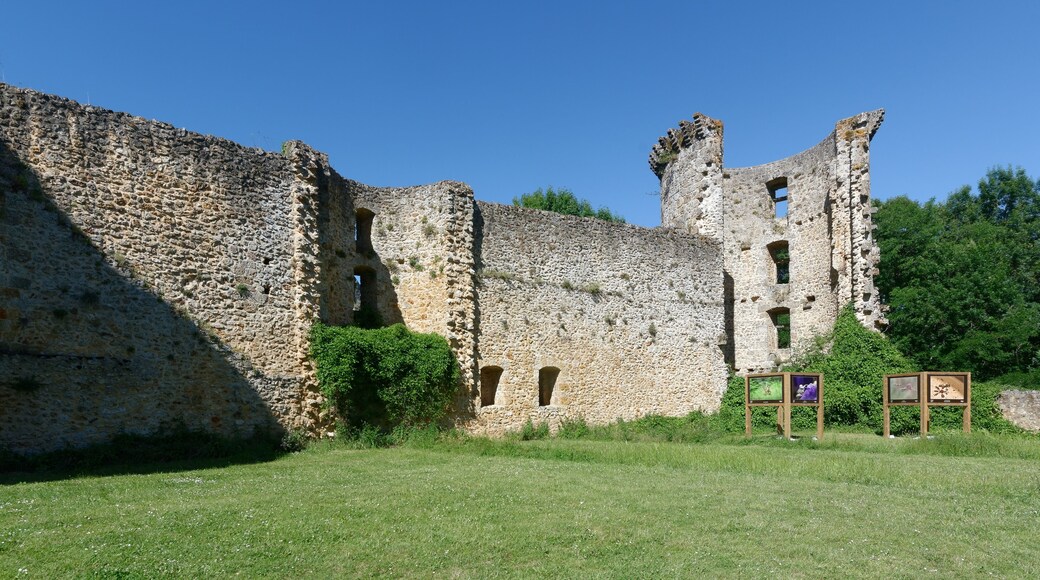 Partie nord-est du mur d'enceinte du château de la Madeleine.