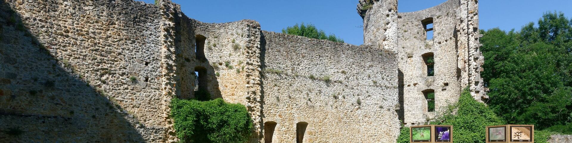 Partie nord-est du mur d'enceinte du château de la Madeleine.
