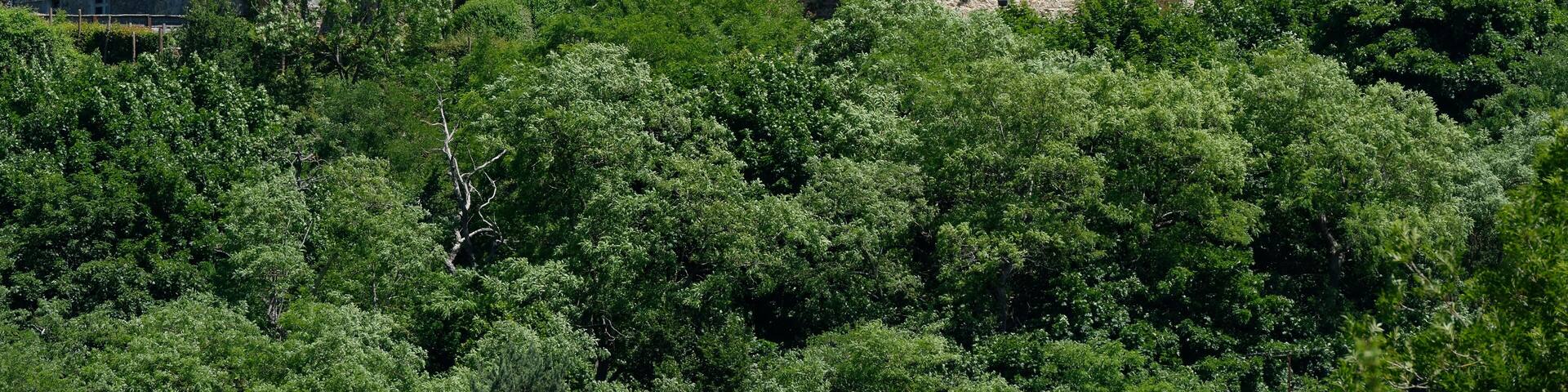 Le château de la Madeleine à Chevreuse, dans les Yvelines, vu depuis le parking de la Mare aux canards.
