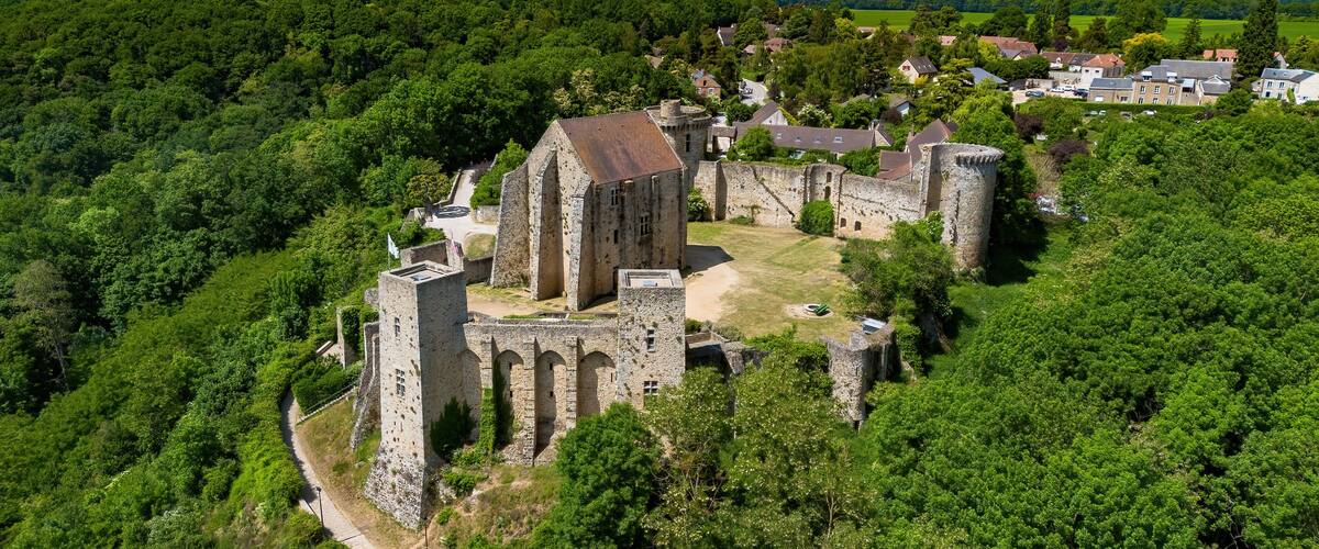 An aerial view of a medieval castle surrounded by dense forest.