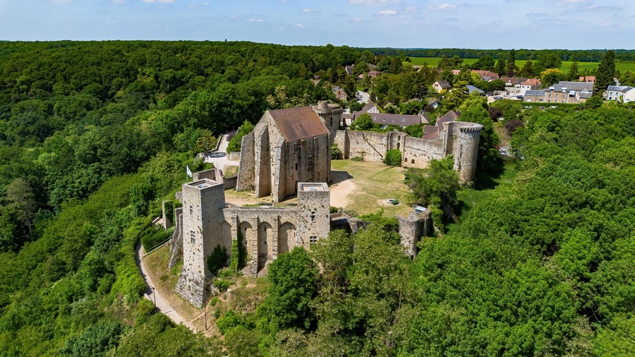 Vista aérea de un castillo medieval rodeado de un bosque denso.