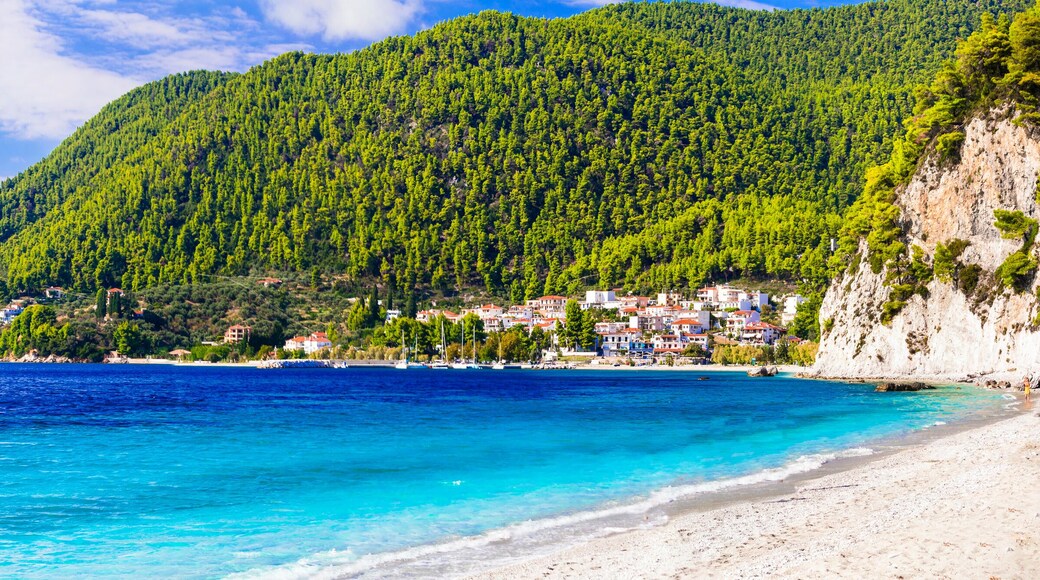 Best island and beaches of Greece- green Skopelos , Hovolos beach