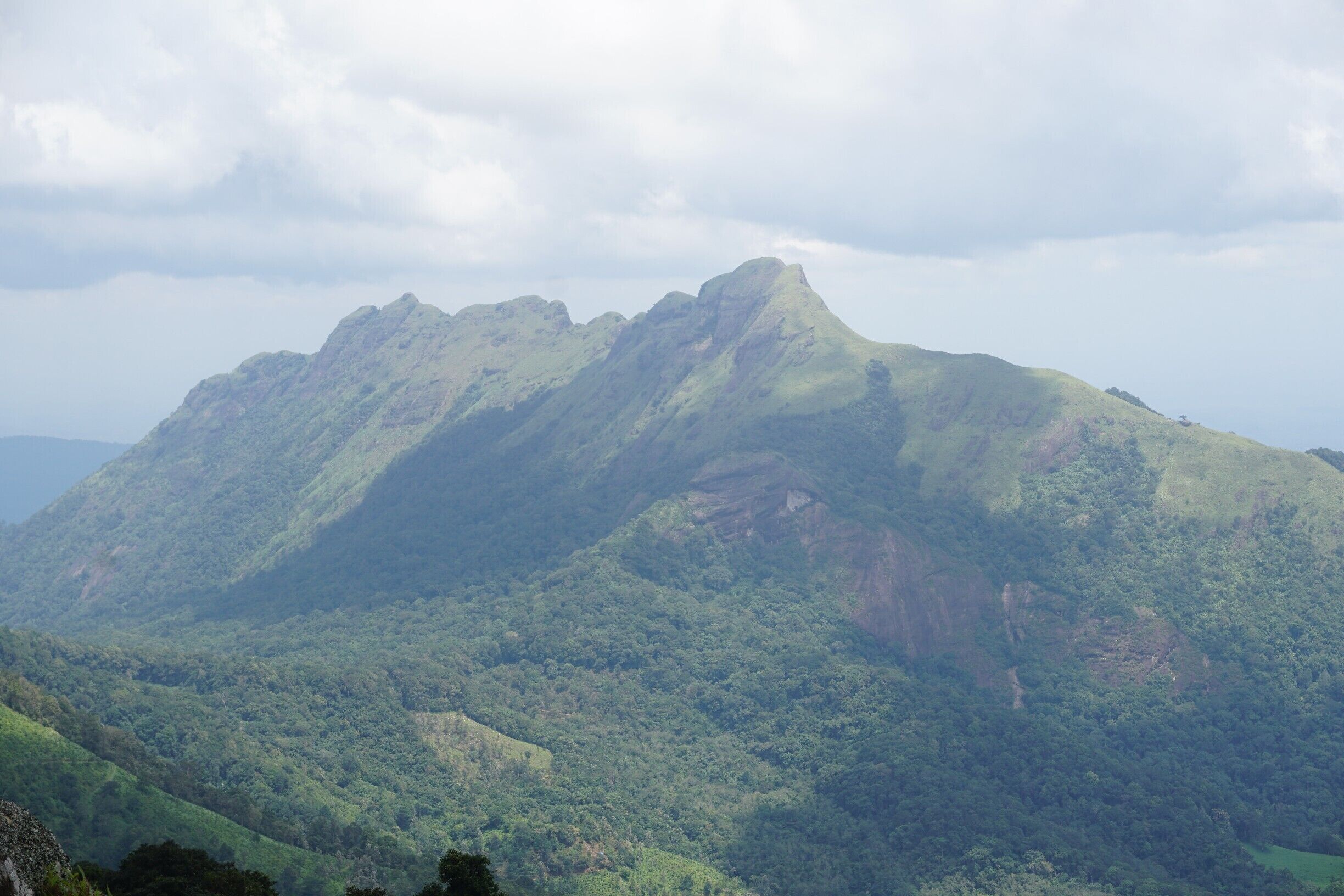 It is the home of Nilgiri tahr