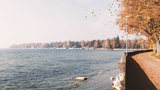 Radolfzell am Bodensee