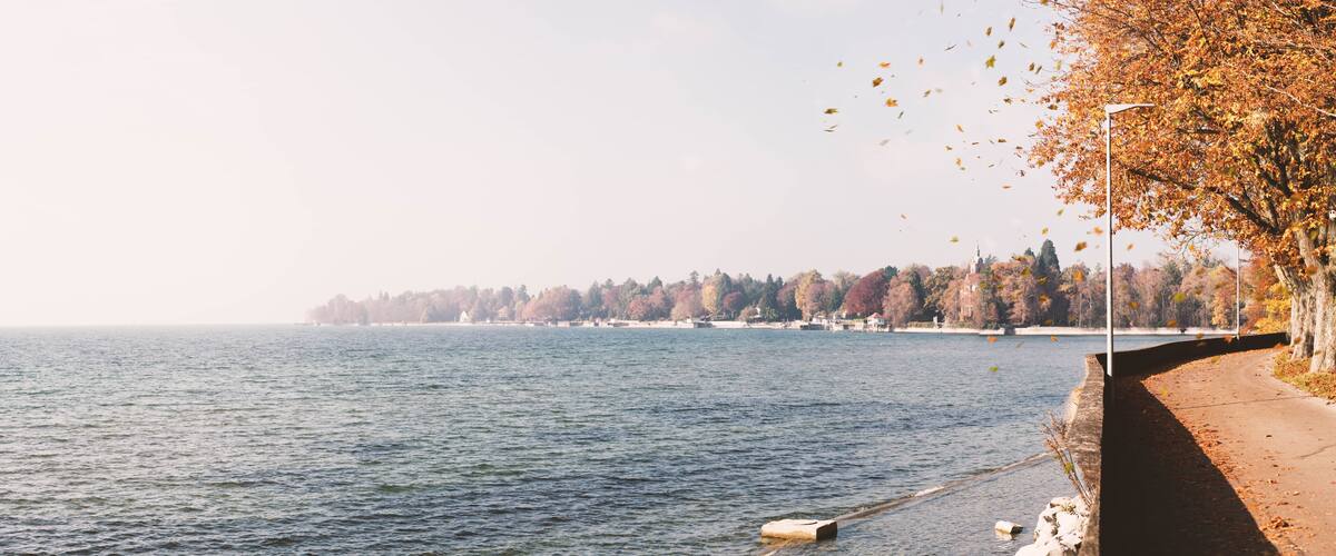 A calm lake with a stone pathway along the shore, autumn trees, and a distant building.