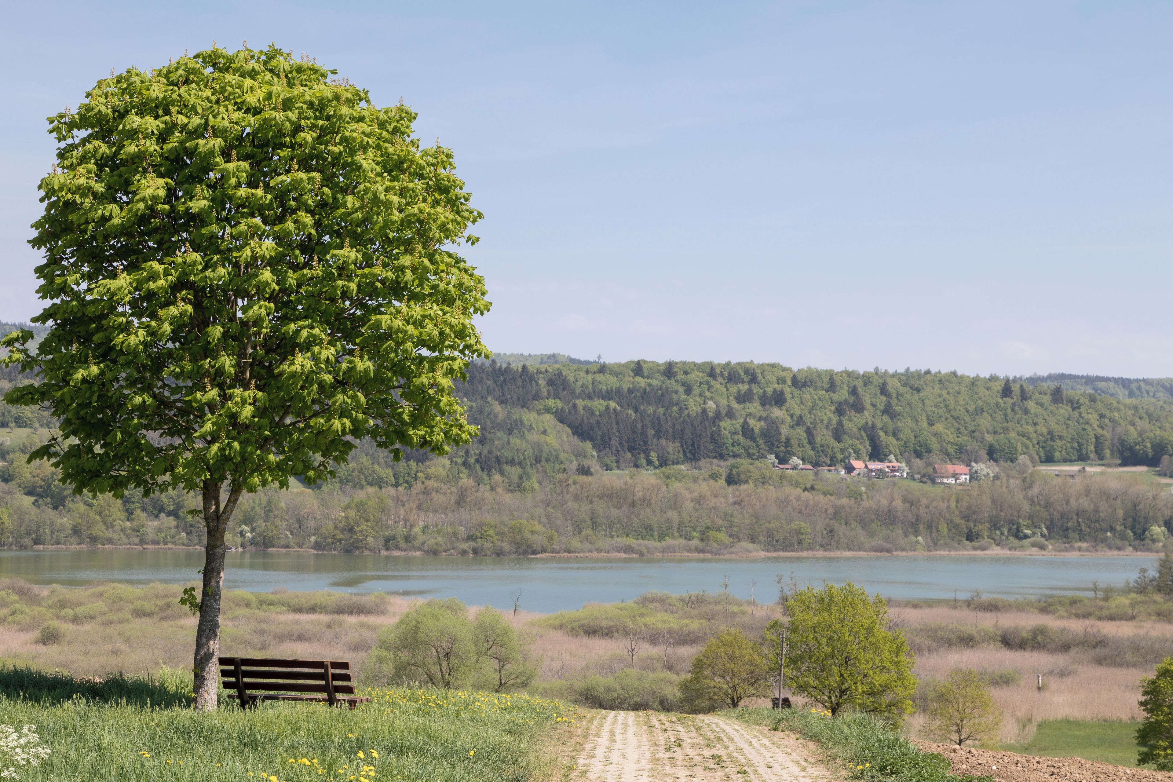 Blick auf den Mindelsee