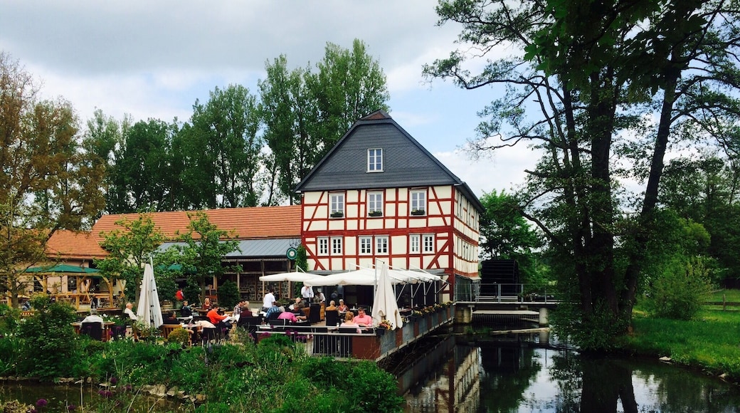 Relaxing stop on the road!