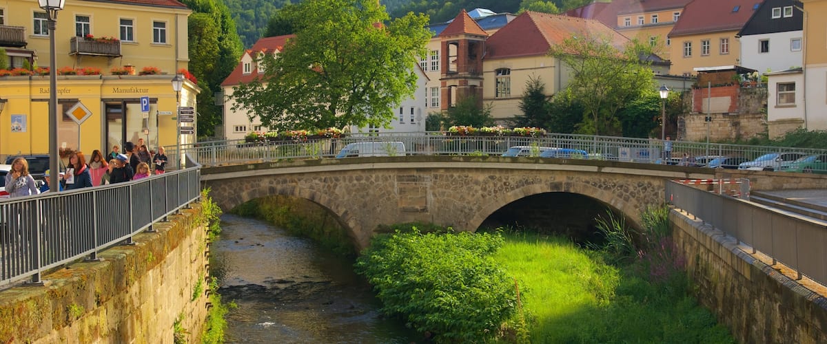 A stone bridge over a river, surrounded by buildings and greenery.