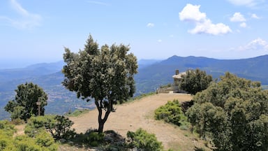 Un arbre sur une colline, avec vue sur des montagnes lointaines et un ciel dégagé.