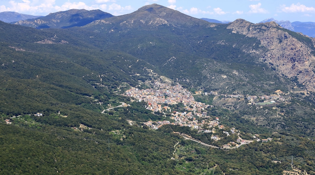 Aerial photo of Biddamanna Istrisàili/Villagrande Strisaili village in Sardinia, Italy