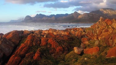 A rocky coastline with mountains in the background.