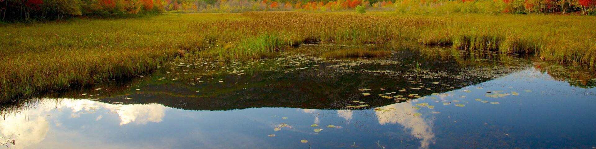 A calm lake surrounded by autumn-colored trees and a mountain in the background.