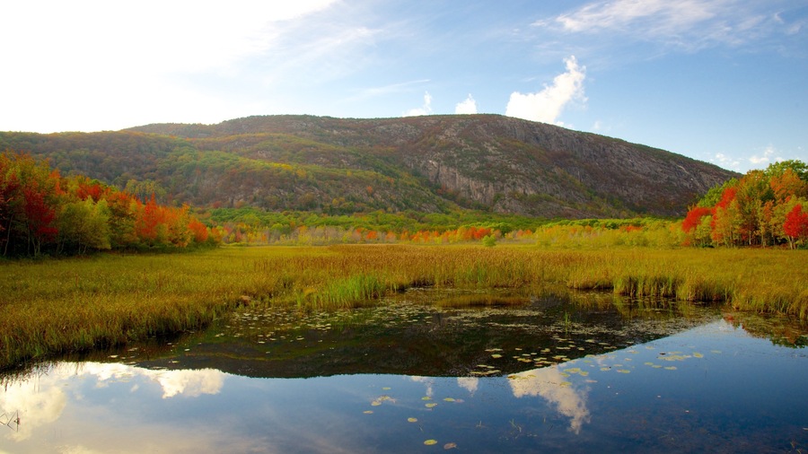 Ein ruhiger See, umgeben von herbstlich gefärbten Bäumen und einem Berg im Hintergrund.