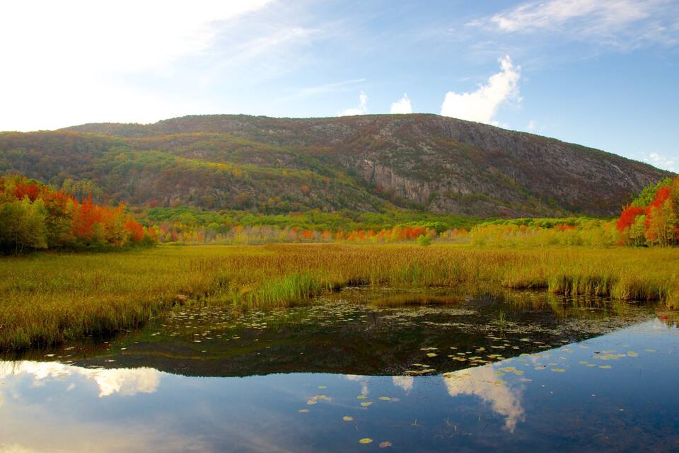 A calm lake surrounded by autumn-colored trees and a mountain in the background.
