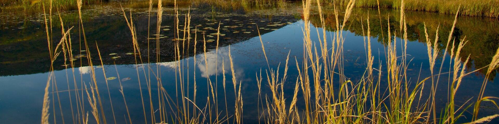 アーカディア国立公園 表示 池 と 静かな風景