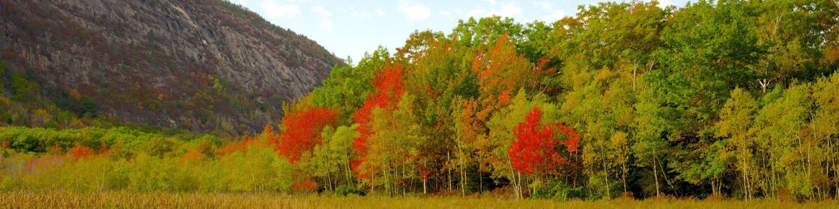 Acadia National Park featuring forest scenes, a lake or waterhole and wetlands
