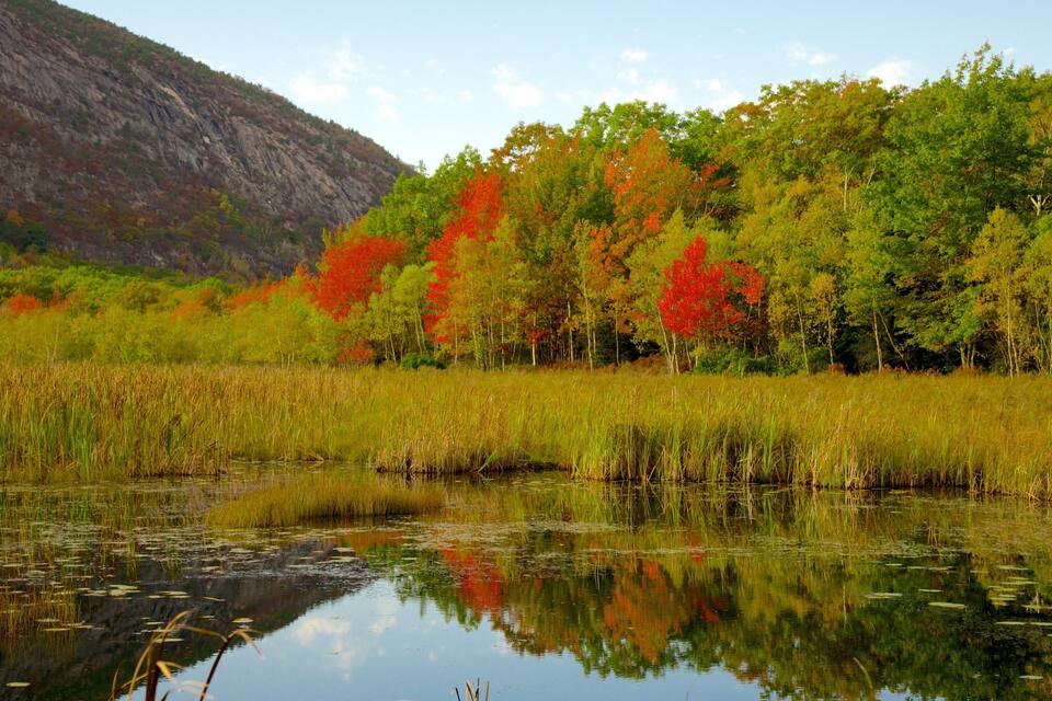 A calm lake with reflections of trees and a mountain in the background.
