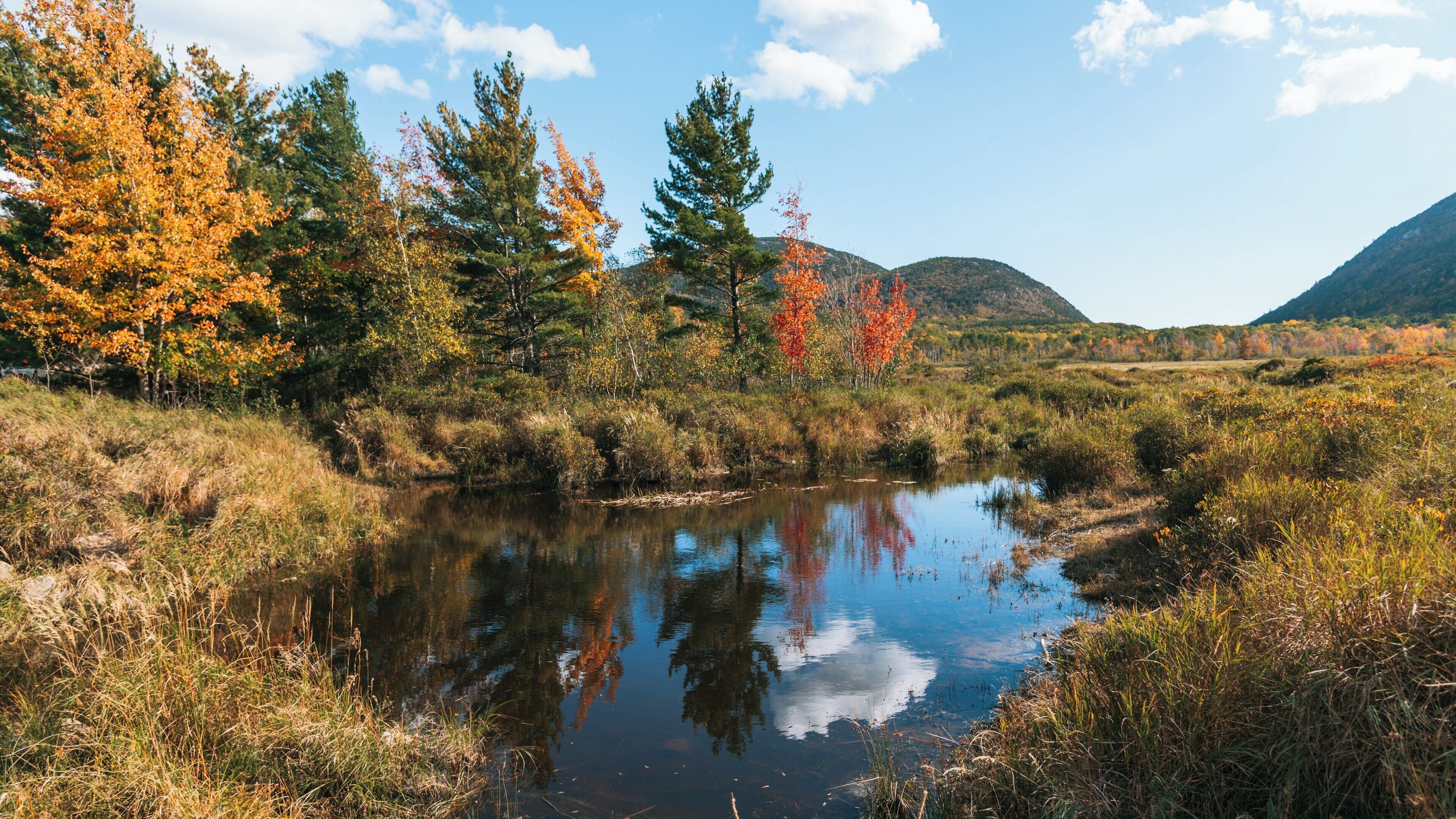 Stunning fall foliage reflects in tranquil waters at Acadia National Park in Bar Harbor, Maine during a sunny afternoon