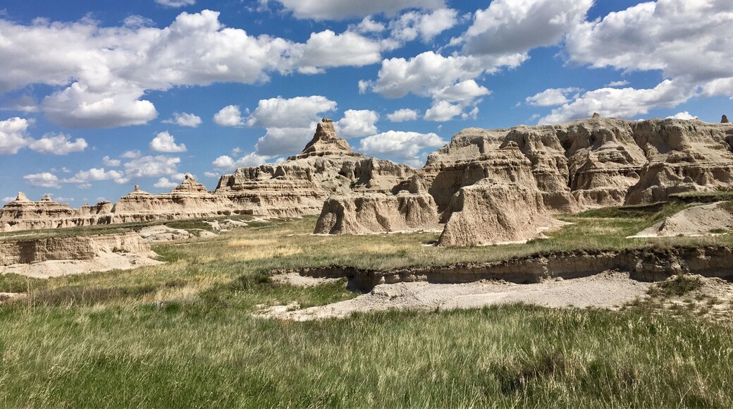 Near the exit (or entrance)
#SouthDakota #Badlands
(May 2017)