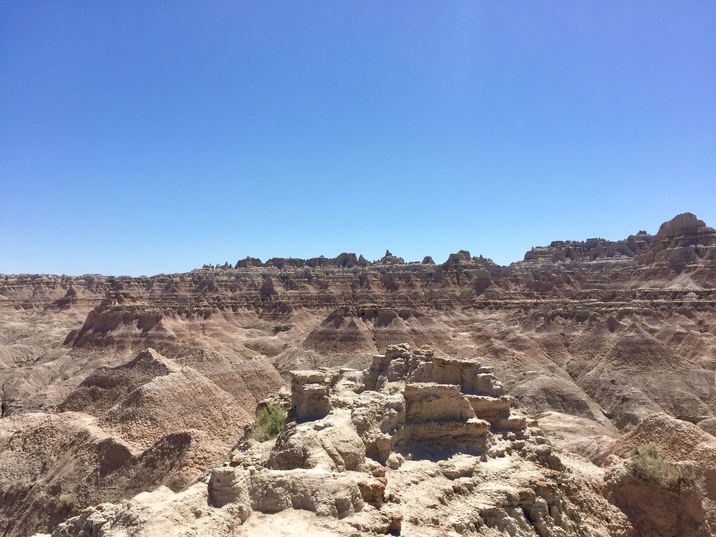 Amazing place to view nature. Well worth the 20.00. #springfun