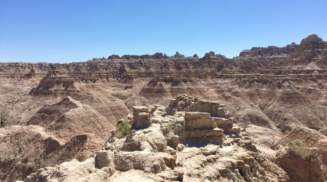 Amazing place to view nature. Well worth the 20.00. #springfun