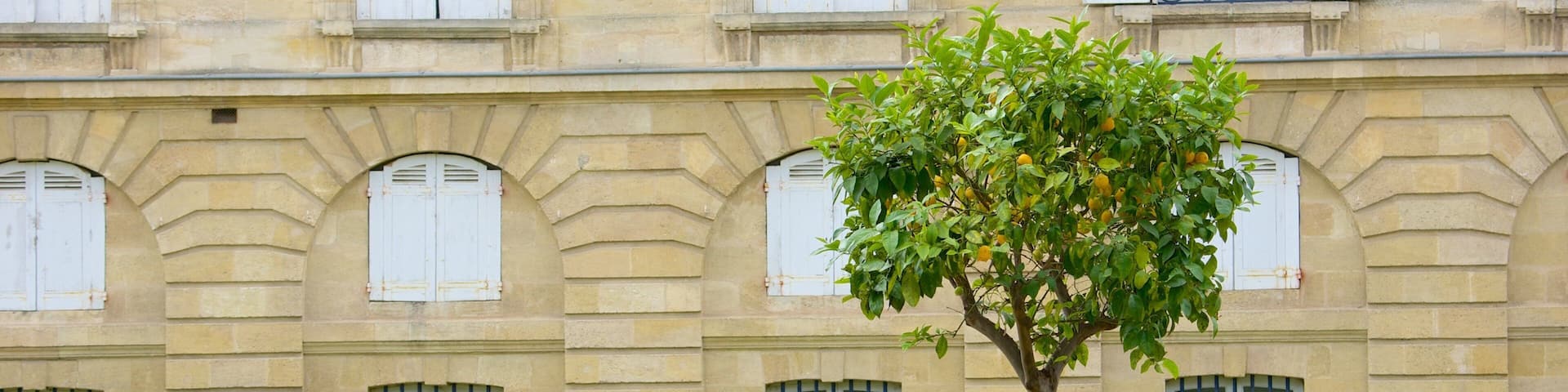 Jardin Public which includes flowers