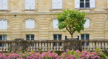 Jardin Public som inkluderar blommor
