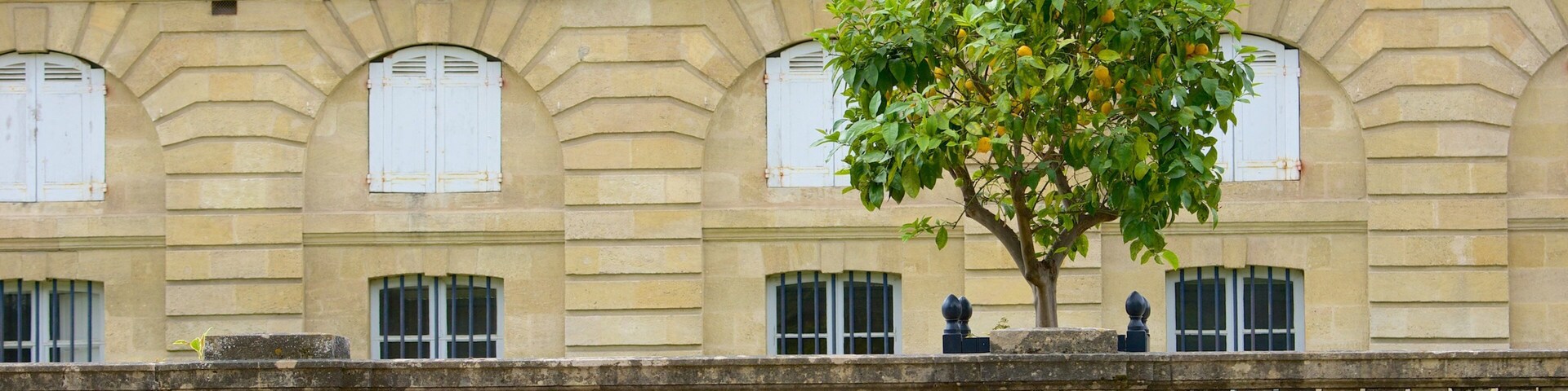 Jardin Public showing flowers