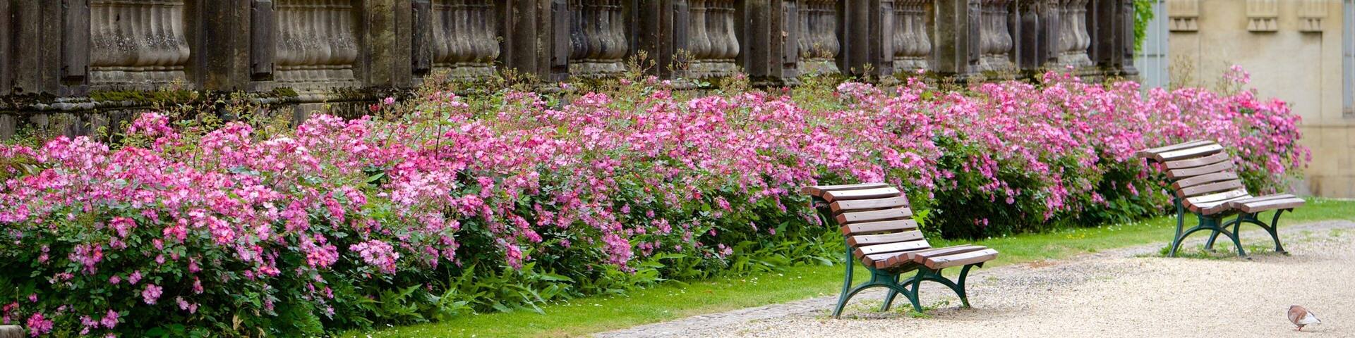 A garden with pink flowers, a bench, and a building with columns in the background.
