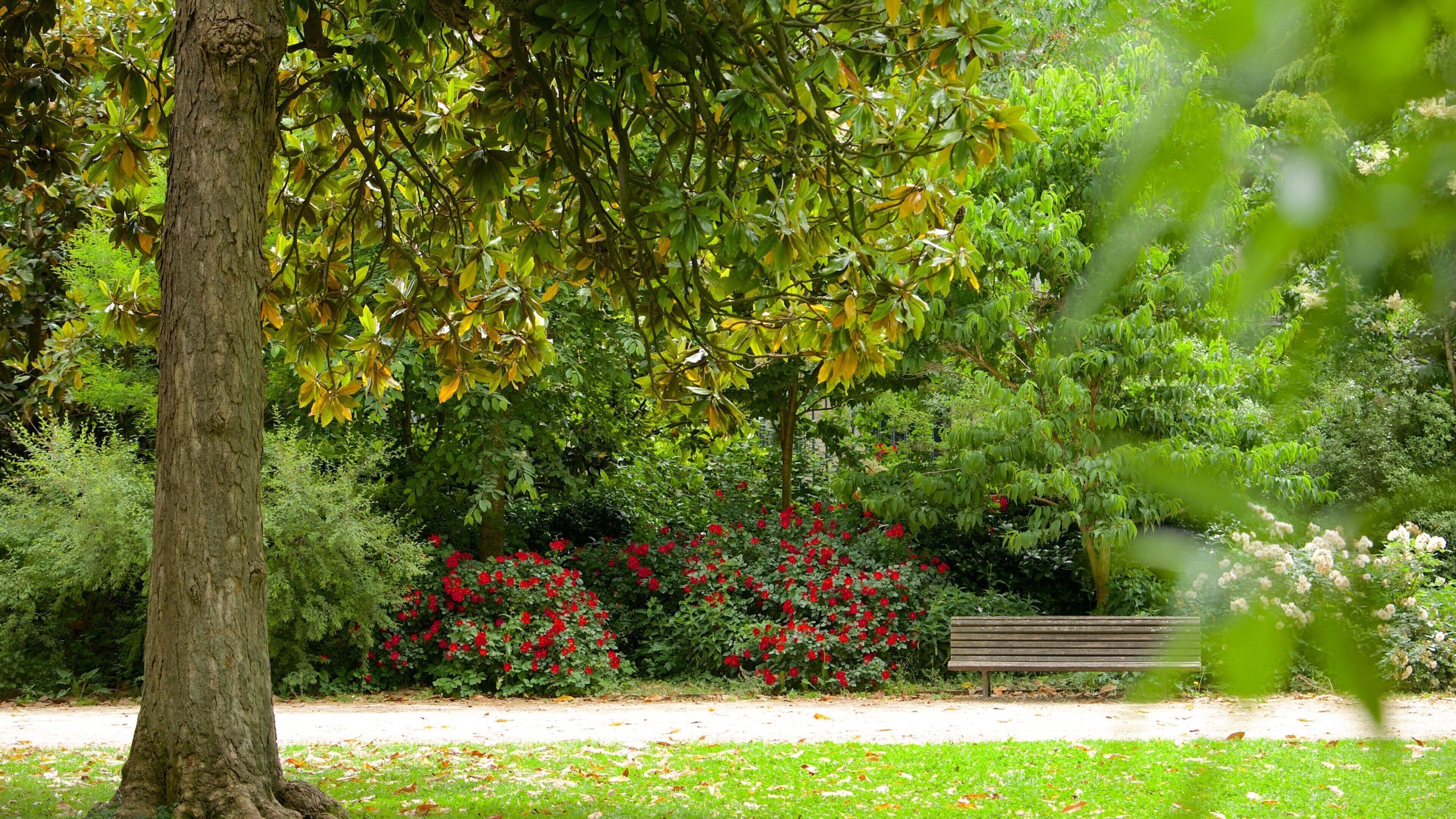 Bordeaux featuring a garden