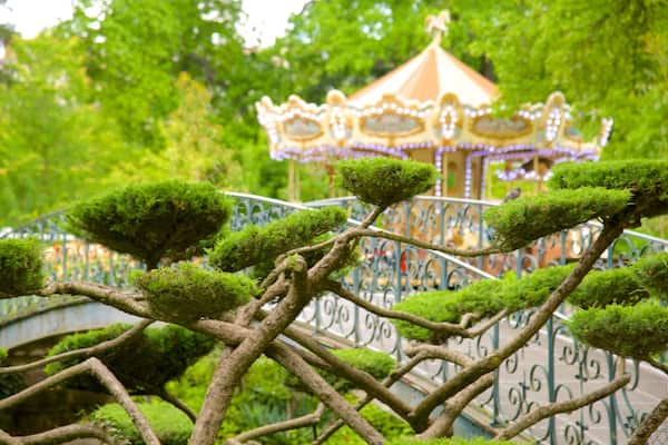 Jardin public mettant en vedette jardin et balades