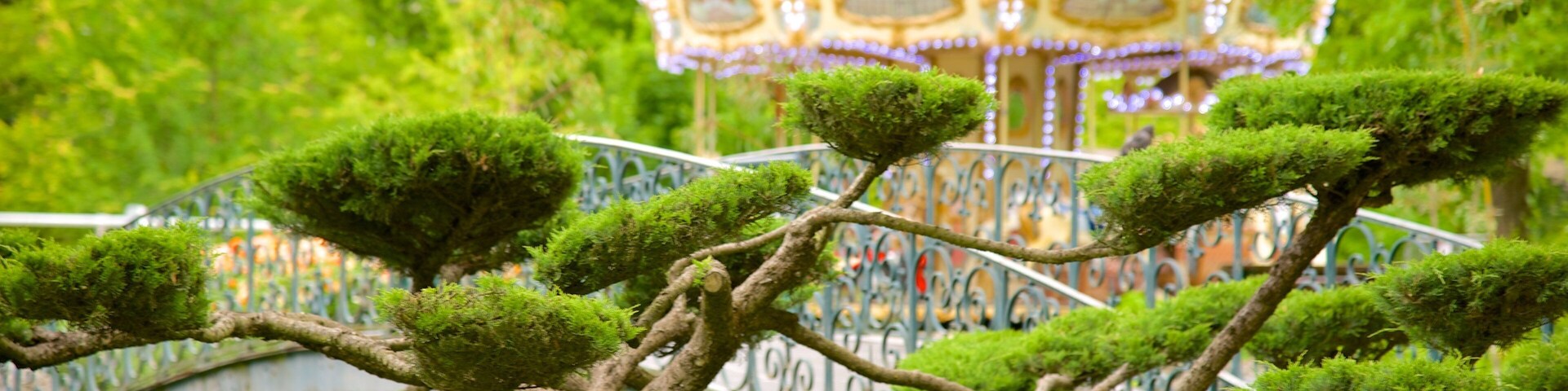 Jardin Public que inclui um jardim e passeios