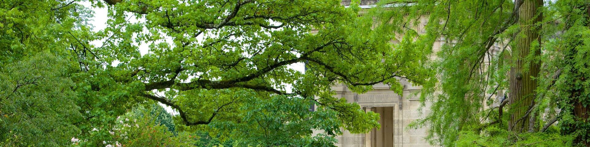 Jardin Public showing a garden and a bridge