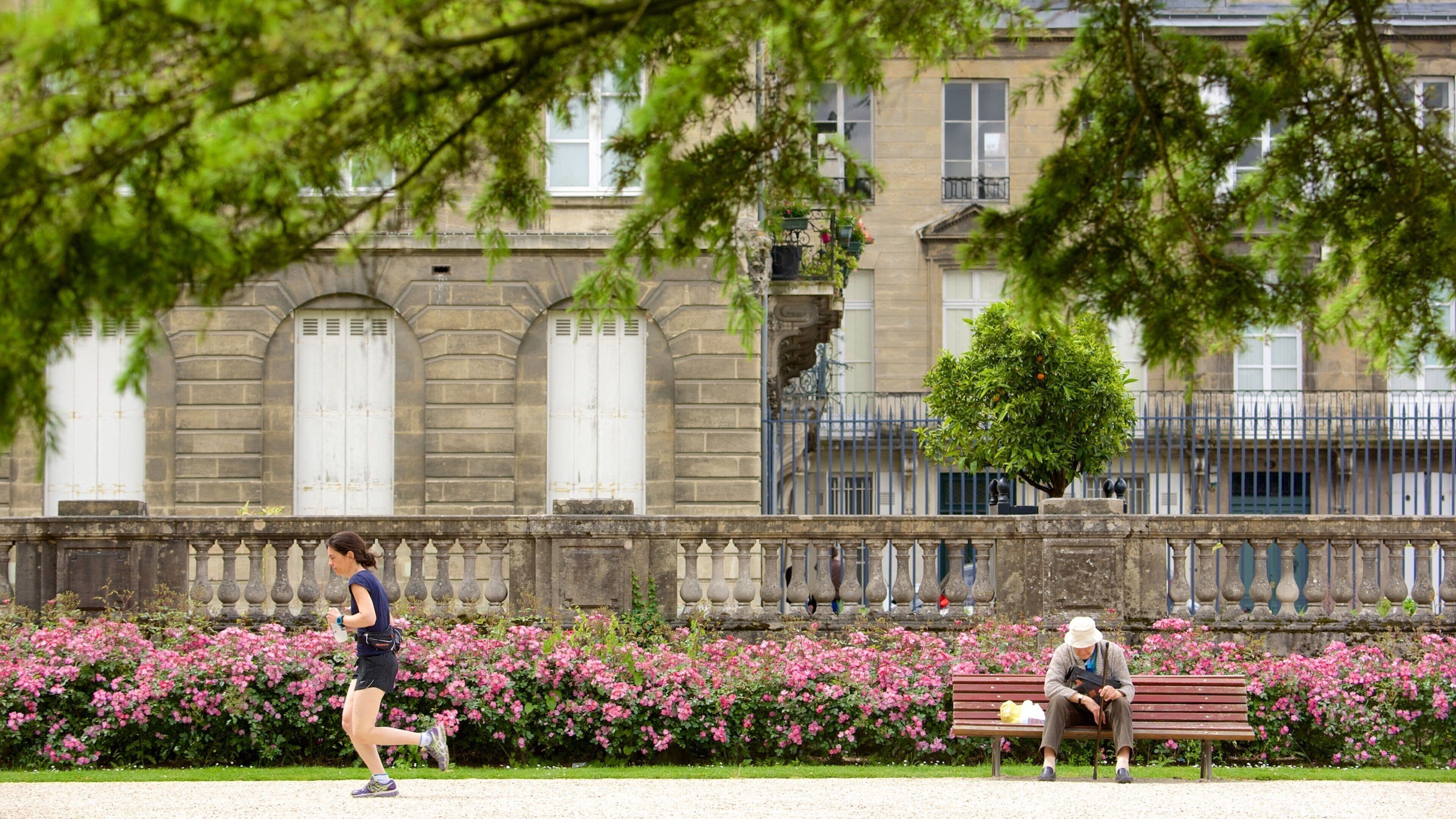 Jardin Public toont bloemen en een park