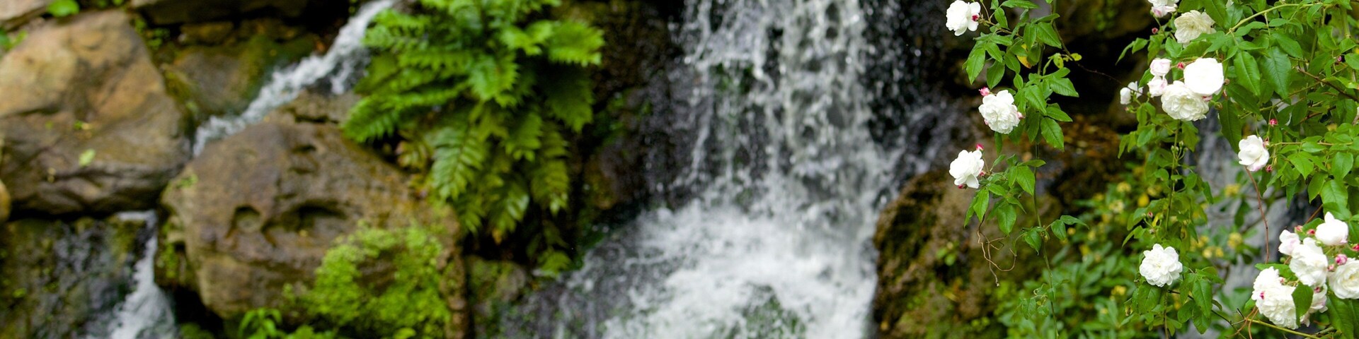 Jardin Public mostrando um parque e uma cascata
