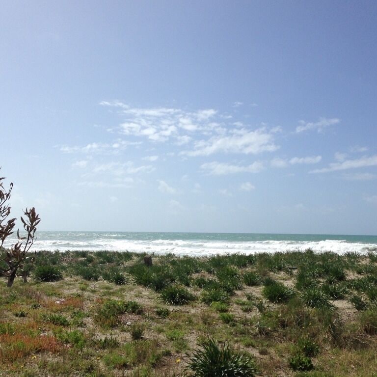 The dune on the beach, Ascea Marina