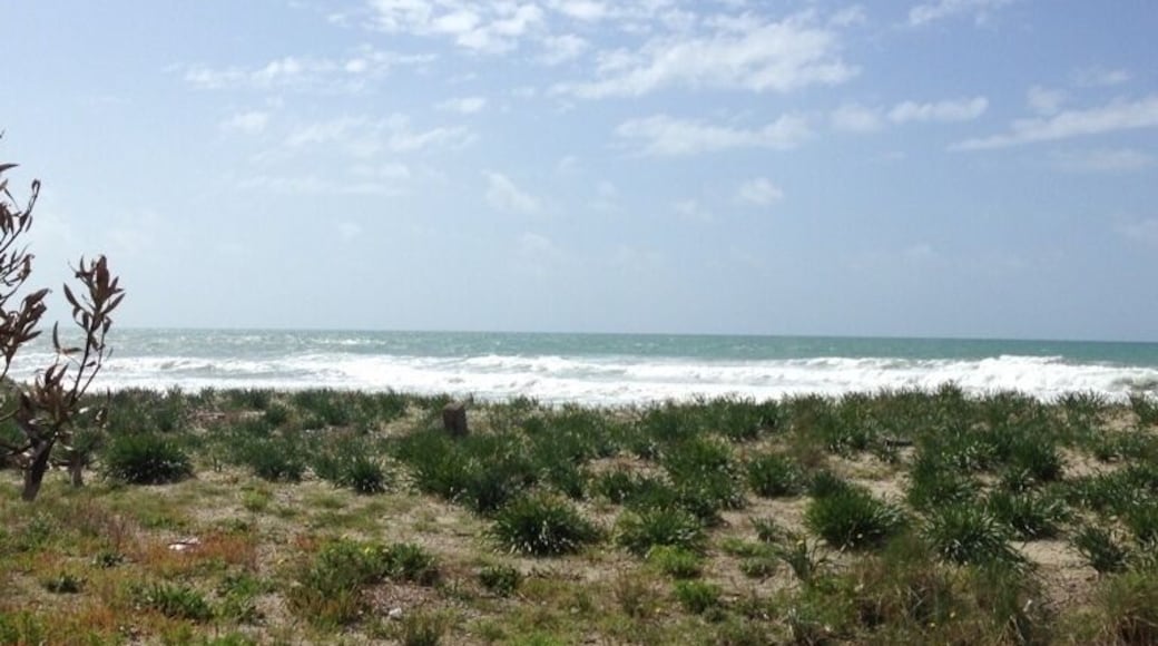 The dune on the beach, Ascea Marina