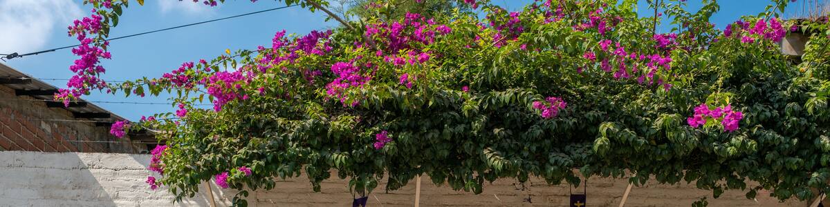 Sign Ataco made of colorful painted wooden planks on the brick fence in a small tourist town in coffee region. Concepcion De Ataco, El Salvador.