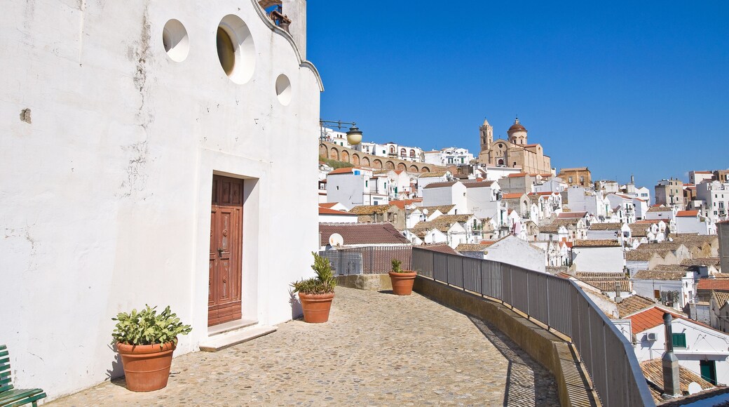 ํผ์คํฐ์น