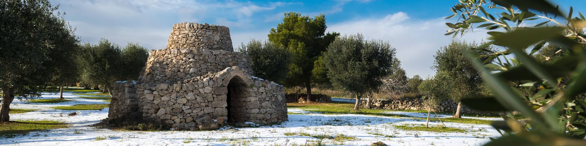 Beautiful trullo with olive grove in the snow, Manduria, Salento, apulian landscape after a snowfall, unusual cold winter in Puglia. View of conical roof of traditional dry stone trullo house, Puglia.