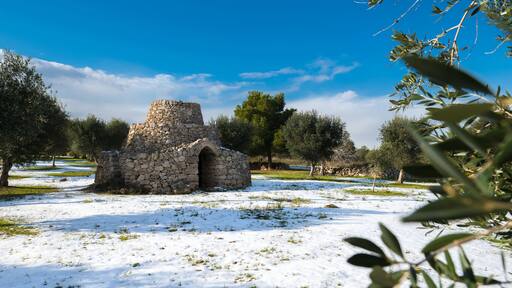 Beautiful trullo with olive grove in the snow, Manduria, Salento, apulian landscape after a snowfall, unusual cold winter in Puglia. View of conical roof of traditional dry stone trullo house, Puglia.