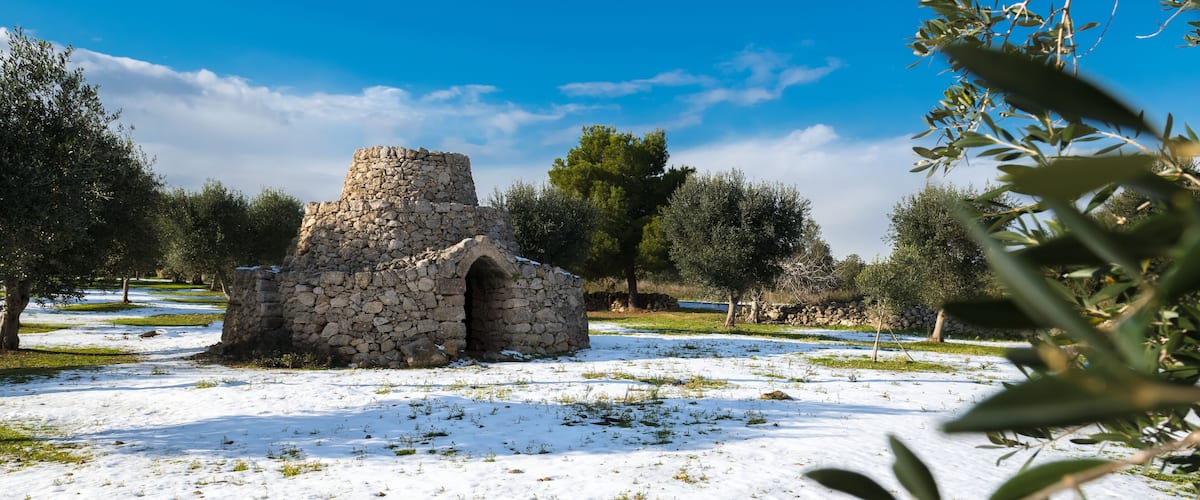 A stone structure in a snowy field with olive trees.