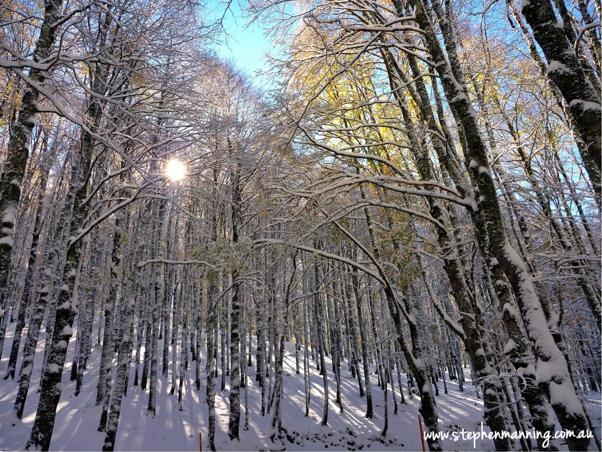 Driving between Tuscany and the Amalfi Coast in November 2012 we stopped overnight in the small mountain village of  Pescasseroli. That night there was 3 inches of snow, the first for the season. We woke up to an unexpected winter wonderland that was truly unforgettable. #snow