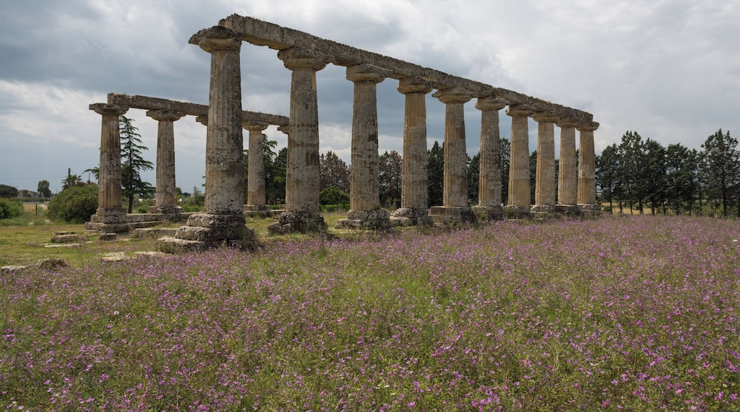 Further authorizations required by the Italian "Code of Cultural Heritage and Landscape" (Codice Urbani), under Legislative Decree No. 42, dated January 22, 2004, and its subsequent amendments, regarding the reuse of the picture. This image reproduces a property belonging to the Italian cultural heritage as entrusted to the Italian government. Such images are regulated by Articles 106 et seq. of the Italian Code of Cultural Heritage and Landscape under Legislative Decree No. 42, dated January 22, 2004, and its subsequent amendments. These regulations, unrelated to copyright regulations, establish a system for the protection of Italyโs historic and artistic heritage and its standards of dignity. Among other things, these regulations provide for the payment of a concession fee by those who intend to benefit economically from reproductions of property belonging to the Italian cultural heritage. Reproduction of this image is permitted for personal use or study. A further authorization by the Italian Ministry of Heritage and Culture is required for reproduction for any other purpose, and particularly for commercial use. Such commercial use includes, but is not limited to, use in (a) any form of advertising, and (b) any company name, logo, trademark, image, activity, or product.