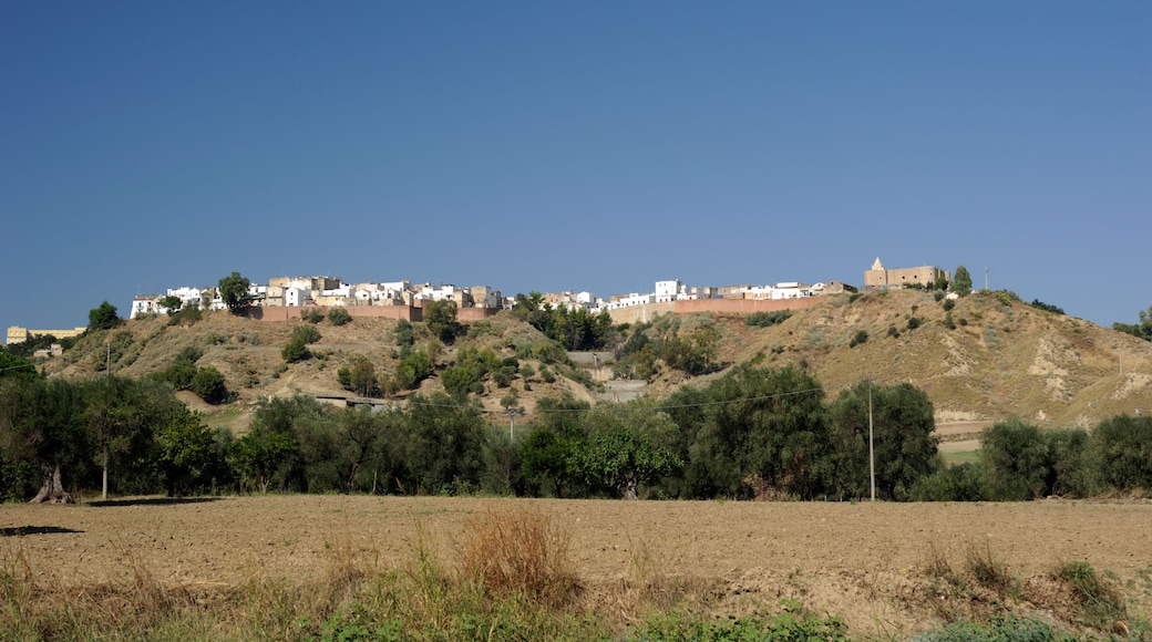 ๋ฒ ๋ฅด๋ ๋ค