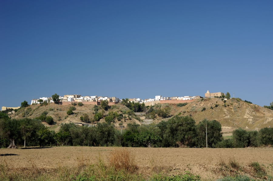 A hillside settlement with buildings and a prominent structure on top.